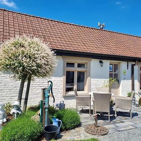 Dhofstede Vakantiewoning 奥德纳尔德 外观 照片
