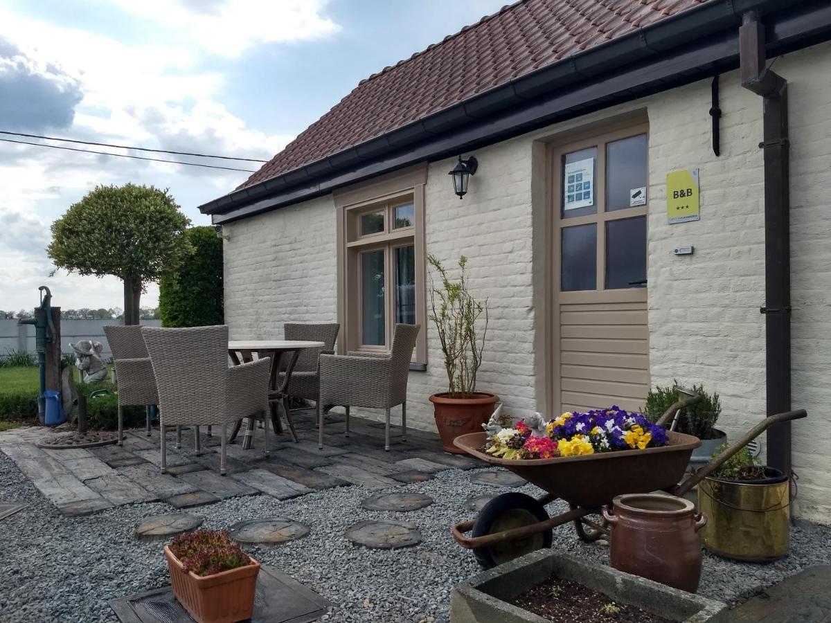 Dhofstede Vakantiewoning 奥德纳尔德 外观 照片