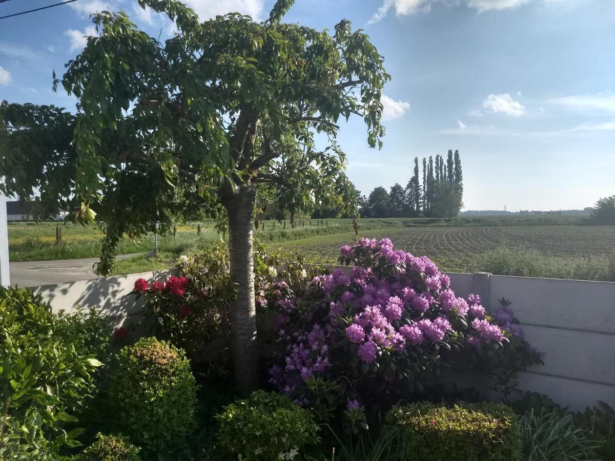 Dhofstede Vakantiewoning 奥德纳尔德 外观 照片